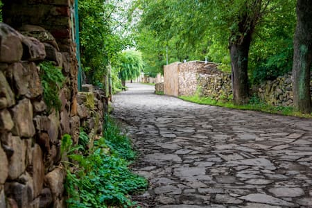 La Carolina, un viaje a la historia. Foto: agenciasanluis