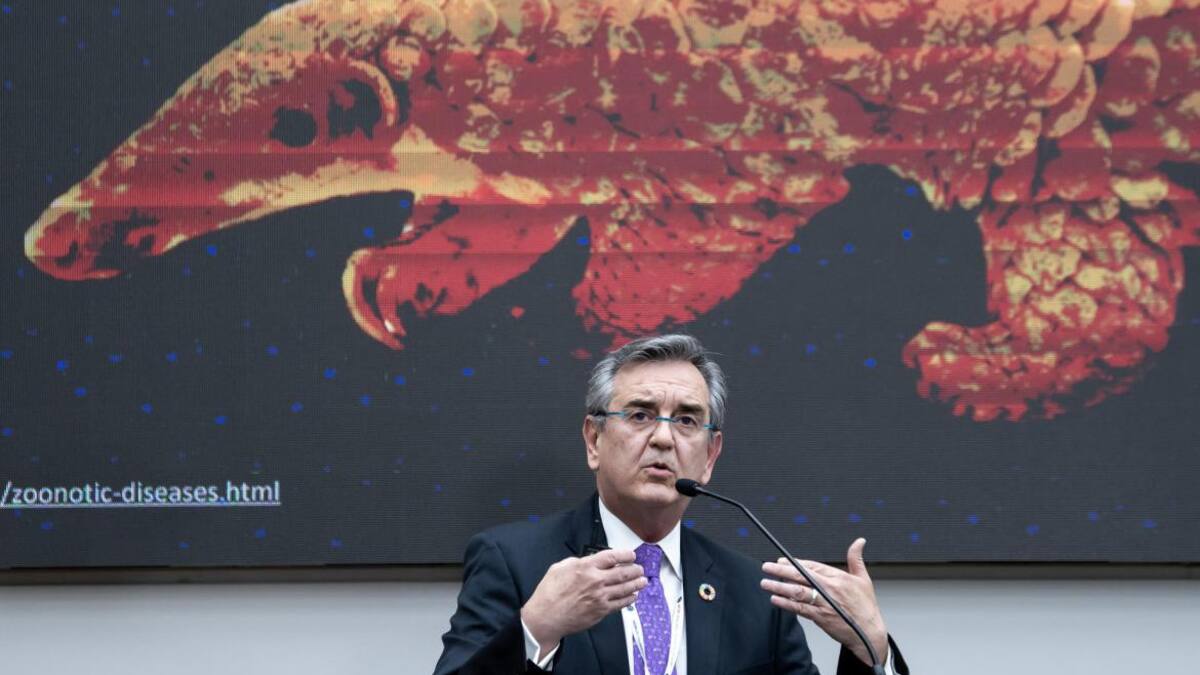 Rodolfo Lacy, especialista de la ONU. Foto: EFE.