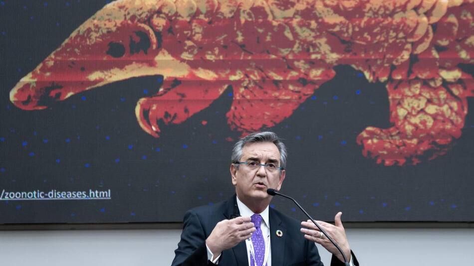 Rodolfo Lacy, especialista de la ONU. Foto: EFE.