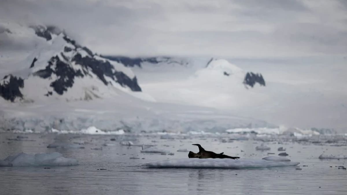 Reducción histórica del hielo marino de la Antártida