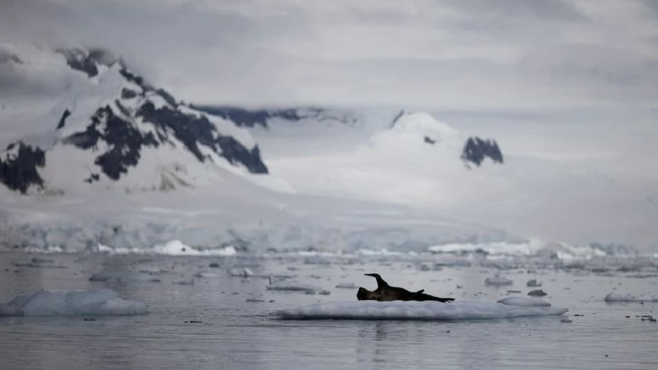 Reducción histórica del hielo marino de la Antártida