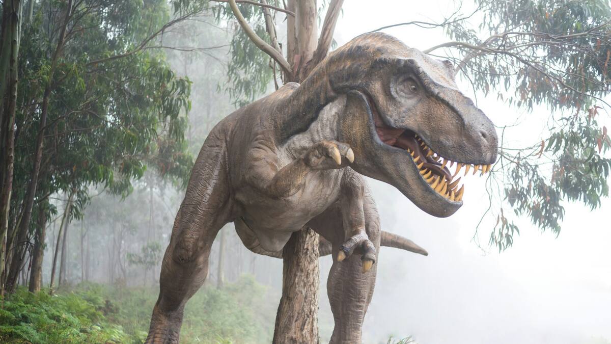 Dinosaurio. Foto: Unsplash