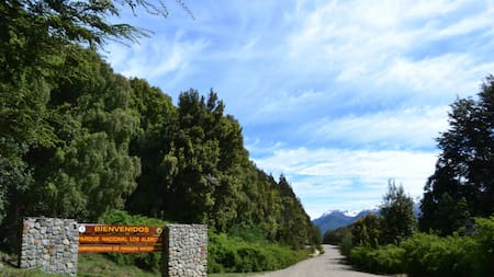 Parque Nacional Los Alerces. Foto: Argentina.gob.ar