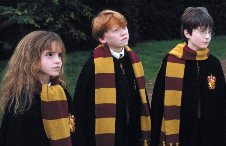 Harry Potter, 20 años