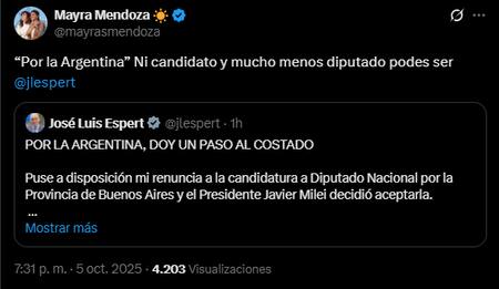 El mensaje de Mayra Mendoza tras la renuncia de Espert.