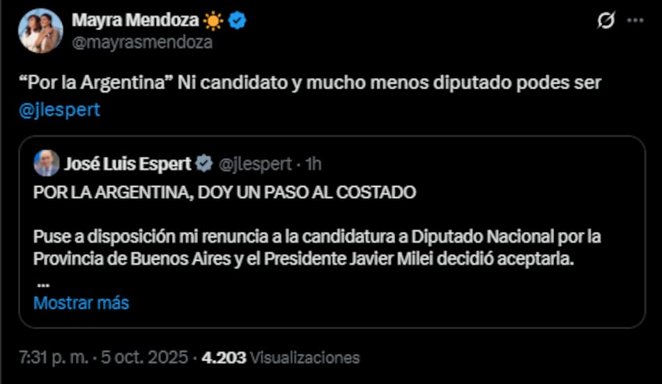 El mensaje de Mayra Mendoza tras la renuncia de Espert.