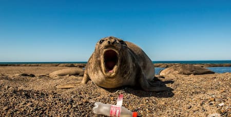 Plasticósfera, un documental sobre la contaminación de plásticos y microplásticos. Foto: Sergio Izquierdo