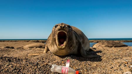 Plasticósfera, un documental sobre la contaminación de plásticos y microplásticos. Foto: Sergio Izquierdo