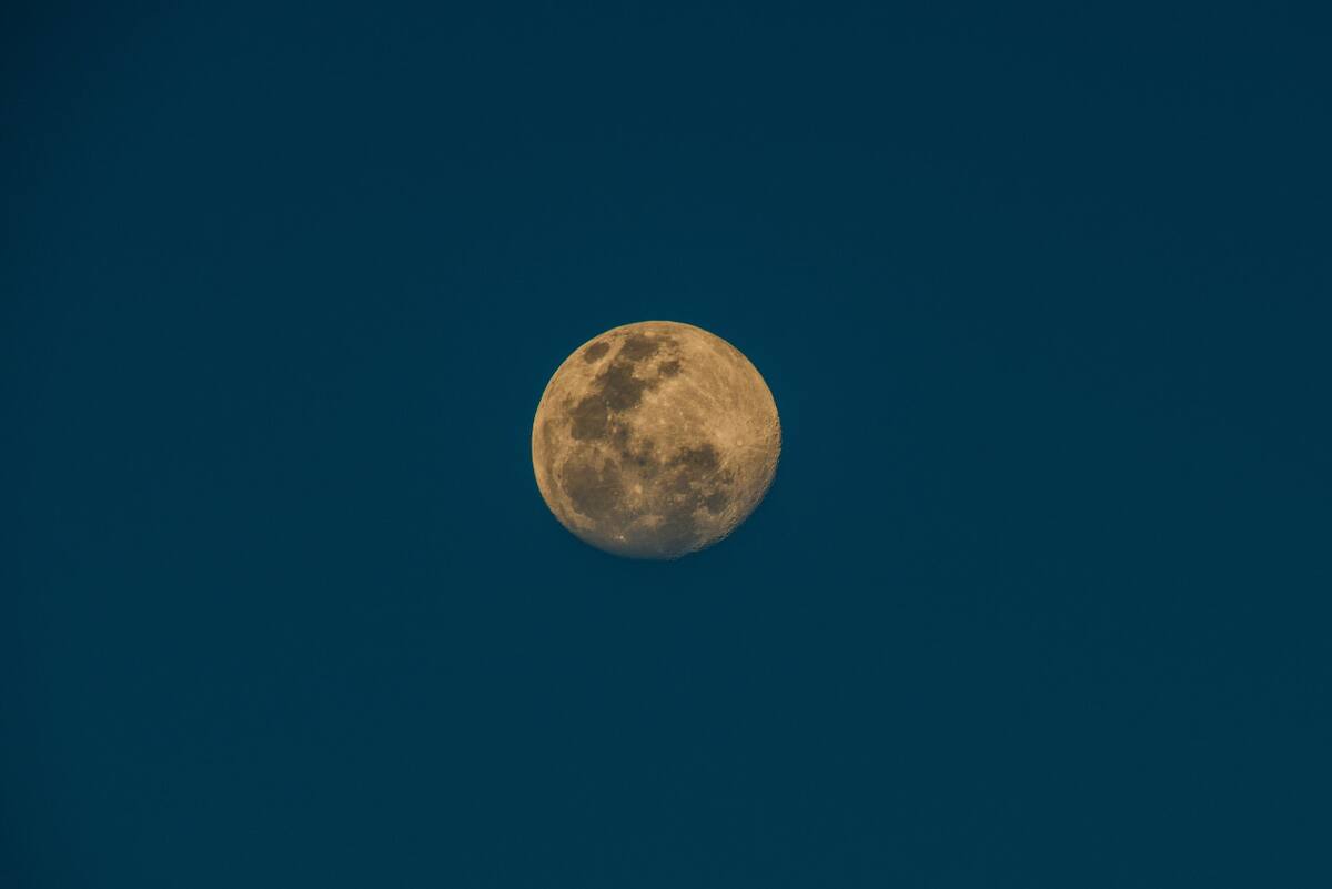 Luna. Foto: Unsplash
