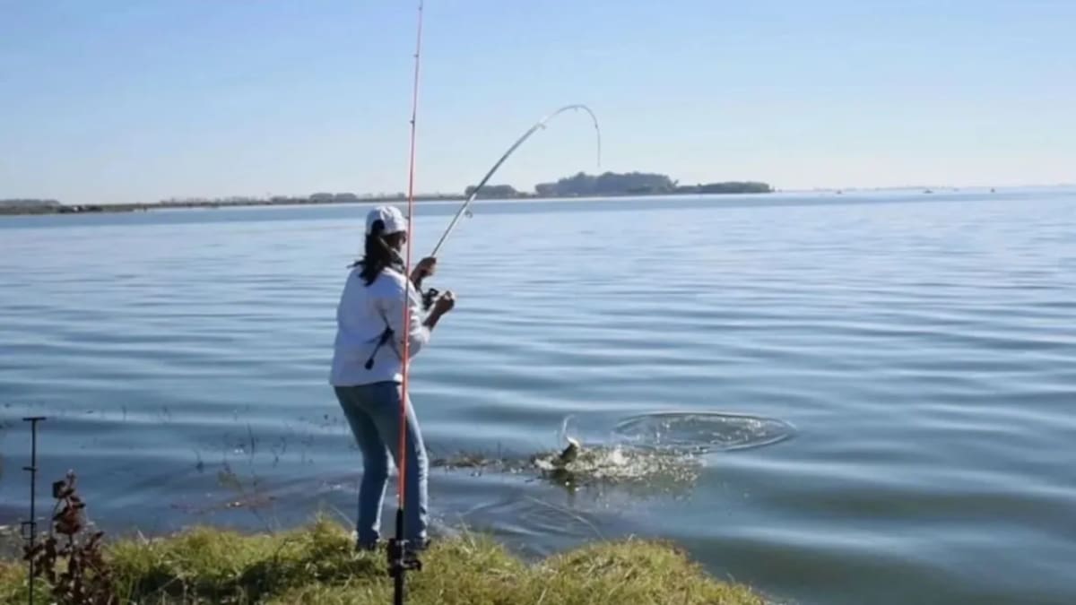 Pesca