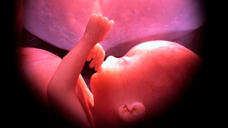 Día del Niño por Nacer