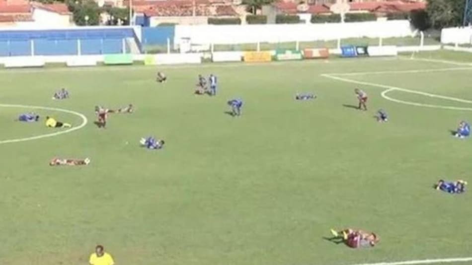 Ataque de abejas en pleno partido, foto NA