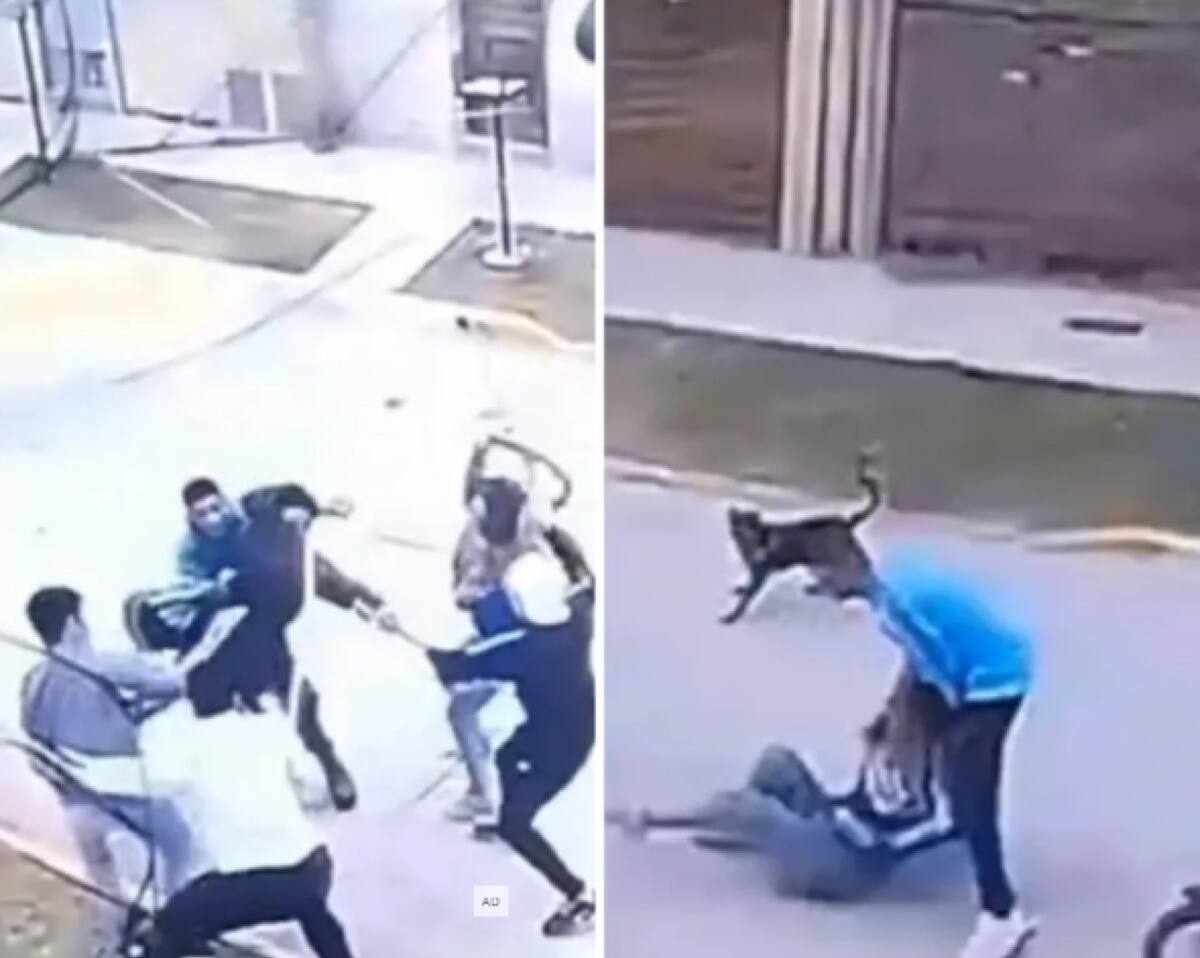Batalla campal en Ensenada. Fuente: Captura