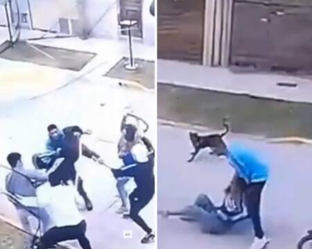 Batalla campal en Ensenada. Fuente: Captura