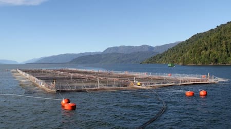 Salmón pesca - info general