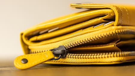 Cuánto cuesta reponer una billetera perdida. Foto Pixabay.