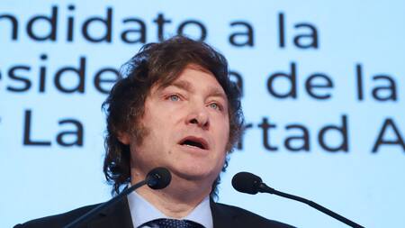 Javier Milei. Foto: NA.