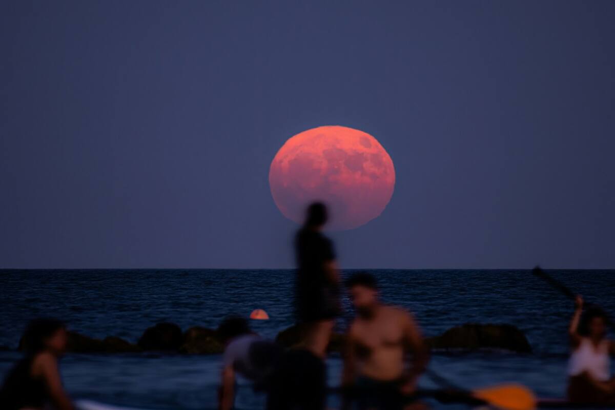 Luna de Fresa; Luna Llena. Foto: Unsplash