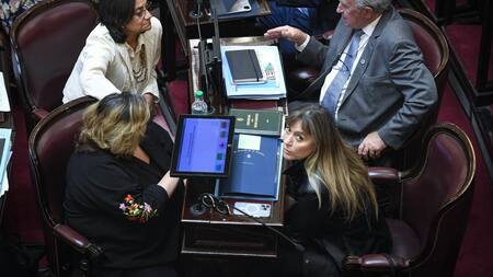 Debate en el Senado por el Presupuesto 2023. Foto: Telam.