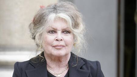 Brigitte Bardot habló de "genes salvajes" y deberá pagar multimillonaria multa por injurias racistas