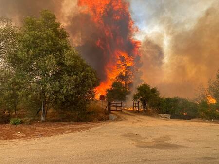 Incendios en Chile. Video: Reuters.