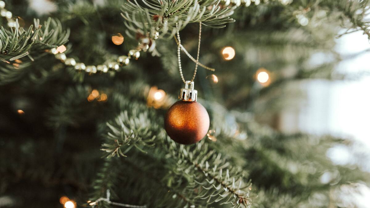 Árbol de Navidad. Foto: Unsplash.