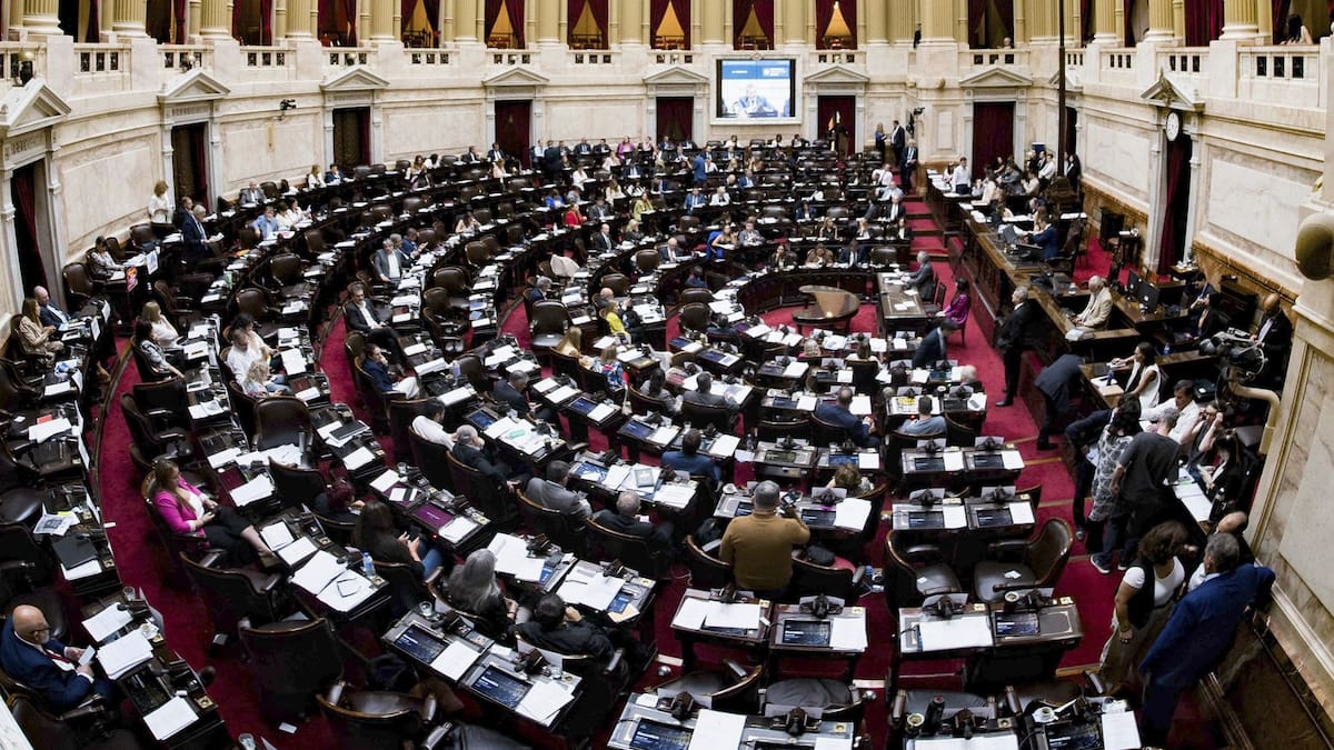 Cámara de Diputados.