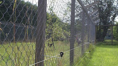 Alambrado electrificado