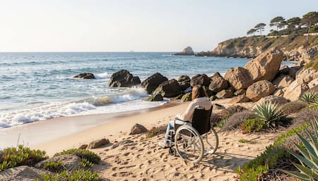 Viajar con el Certificado Único de Discapacidad.