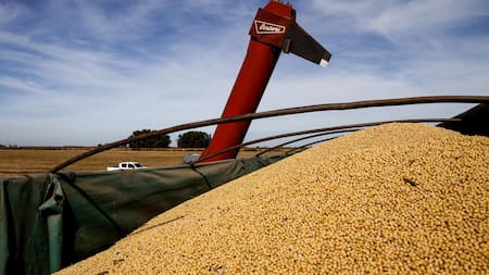Cosecha de soja en Argentina. Foto: NA.