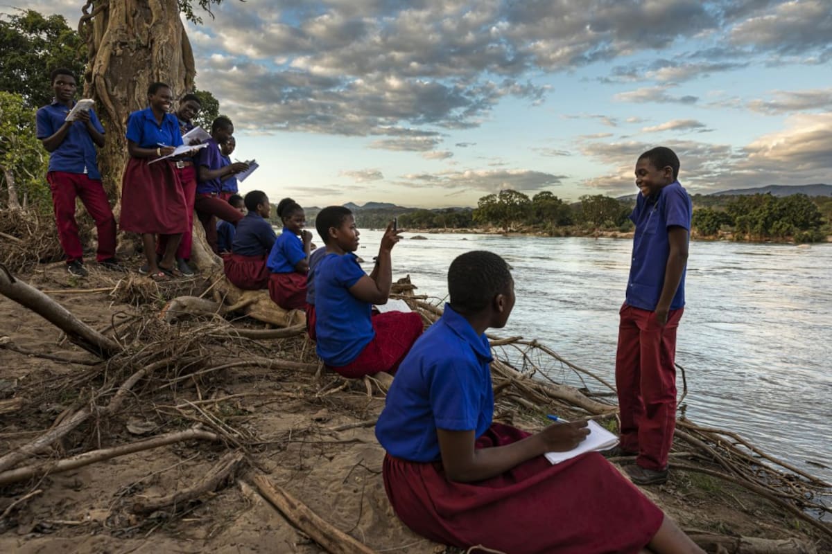 El traslado de 263 elefantes en Malawi provocó conflictos con comunidades rurales.