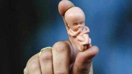 "Son tratados como residuos patológicos dice la autora del proyecto". Foto NA.