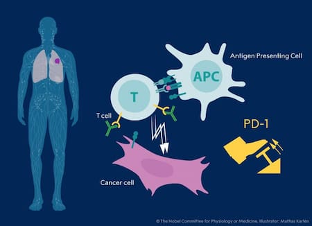 Nobel de Medicina - Info general