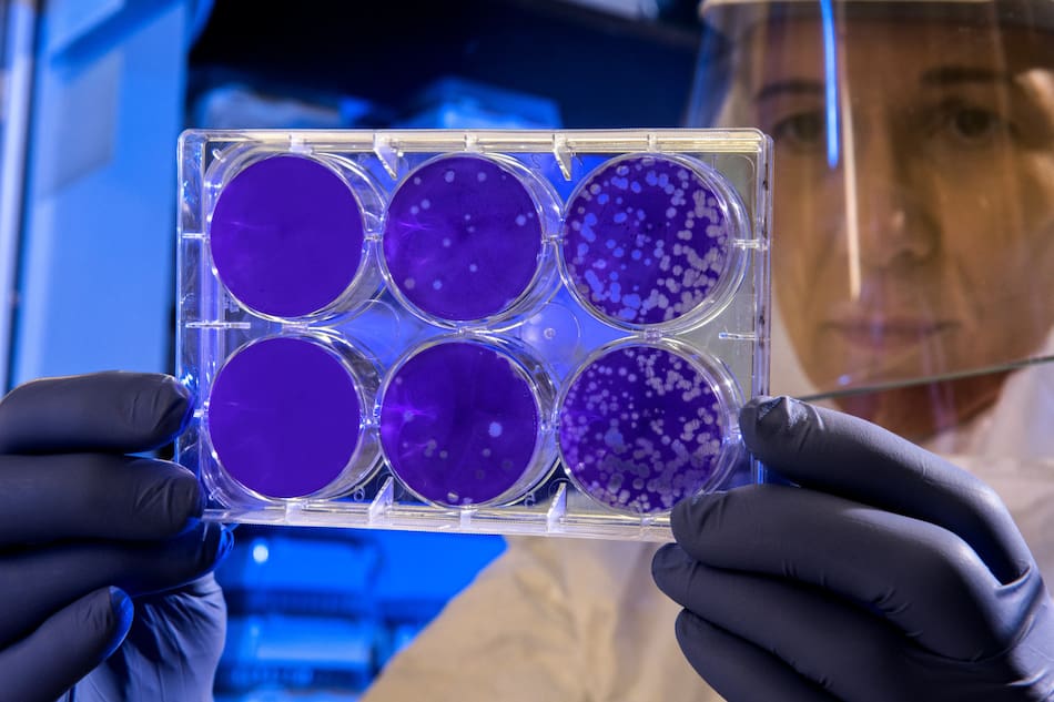 Ciencia, científicos, medicina, ceélulas madre. Unsplash