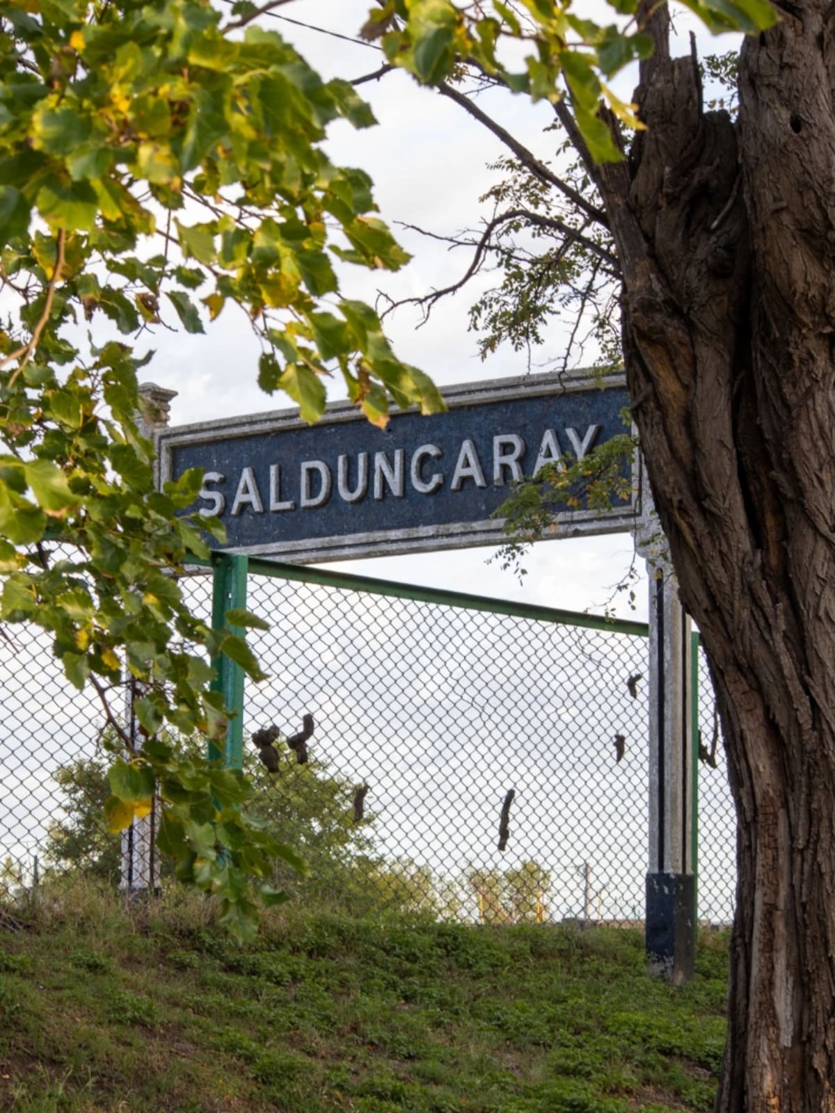 Saldungaray