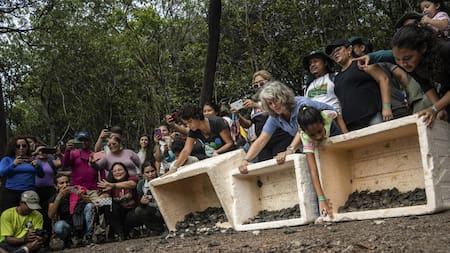La sequía histórica dificultó el rescate de huevos de tortugas amazónicas. Foto: EFE