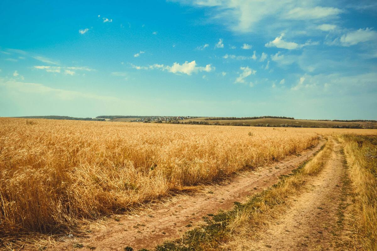 Campo, pueblo. Foto: Pexels