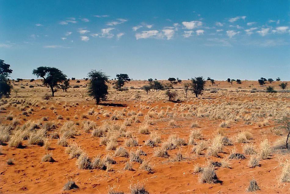 Desierto de Kalahari, África del Sur