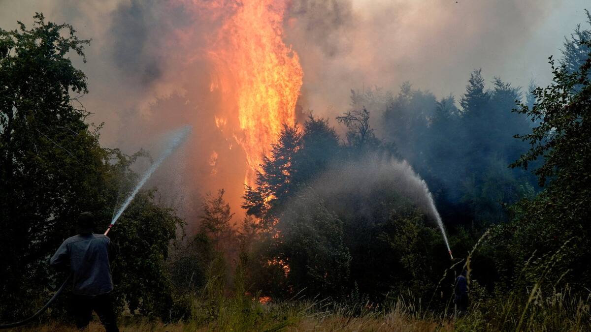 Incendios forestales en El Bolsón, Río Negro. Foto: REUTERS/Marcelo Martinez