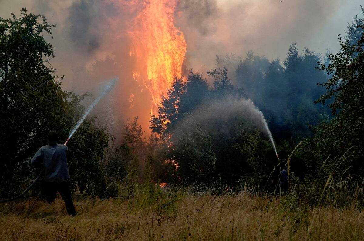 Incendios forestales en El Bolsón, Río Negro. Foto: REUTERS/Marcelo Martinez