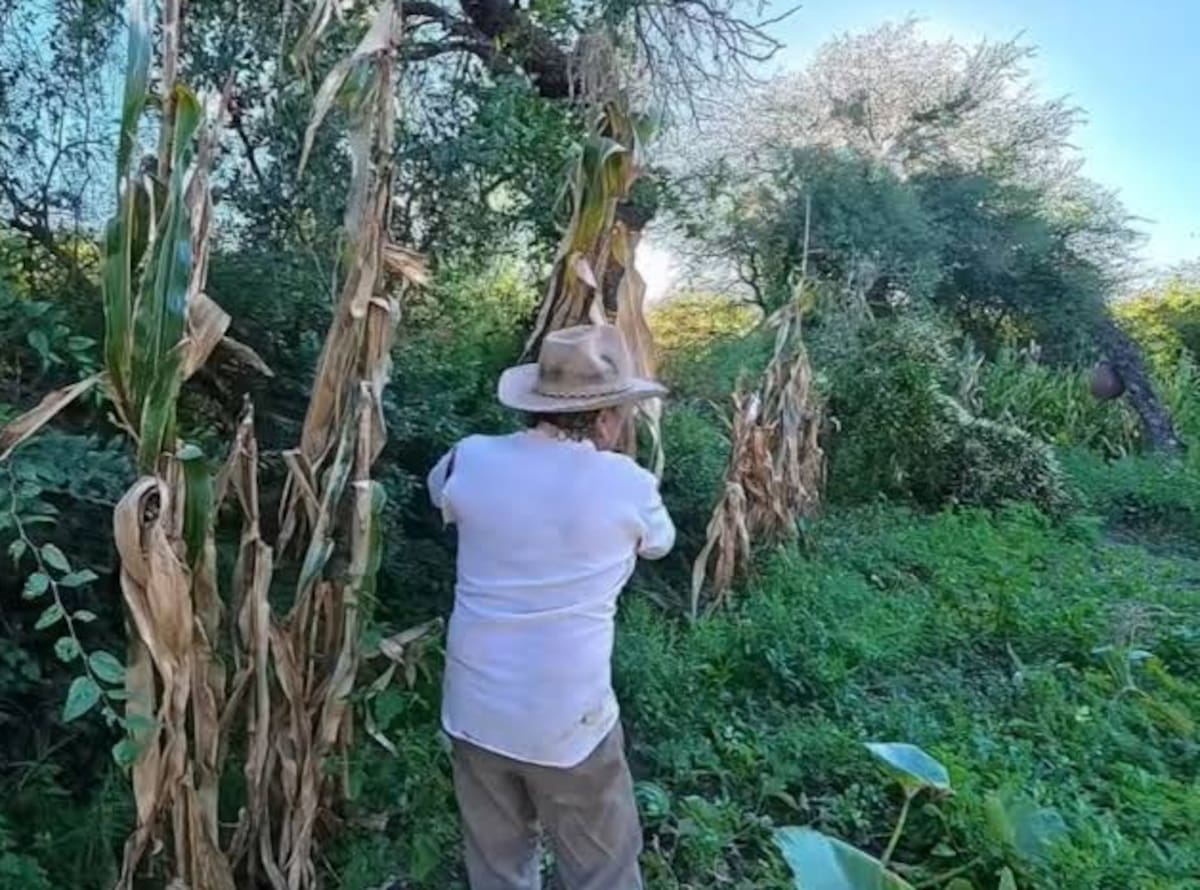 Santos Becerra, productor rural de 67 años, en su vivienda del monte cordobés, rodeado de naturaleza en San Javier, Córdoba.
