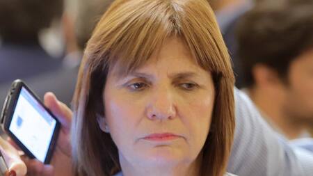 Patricia Bullrich, PRO, NA