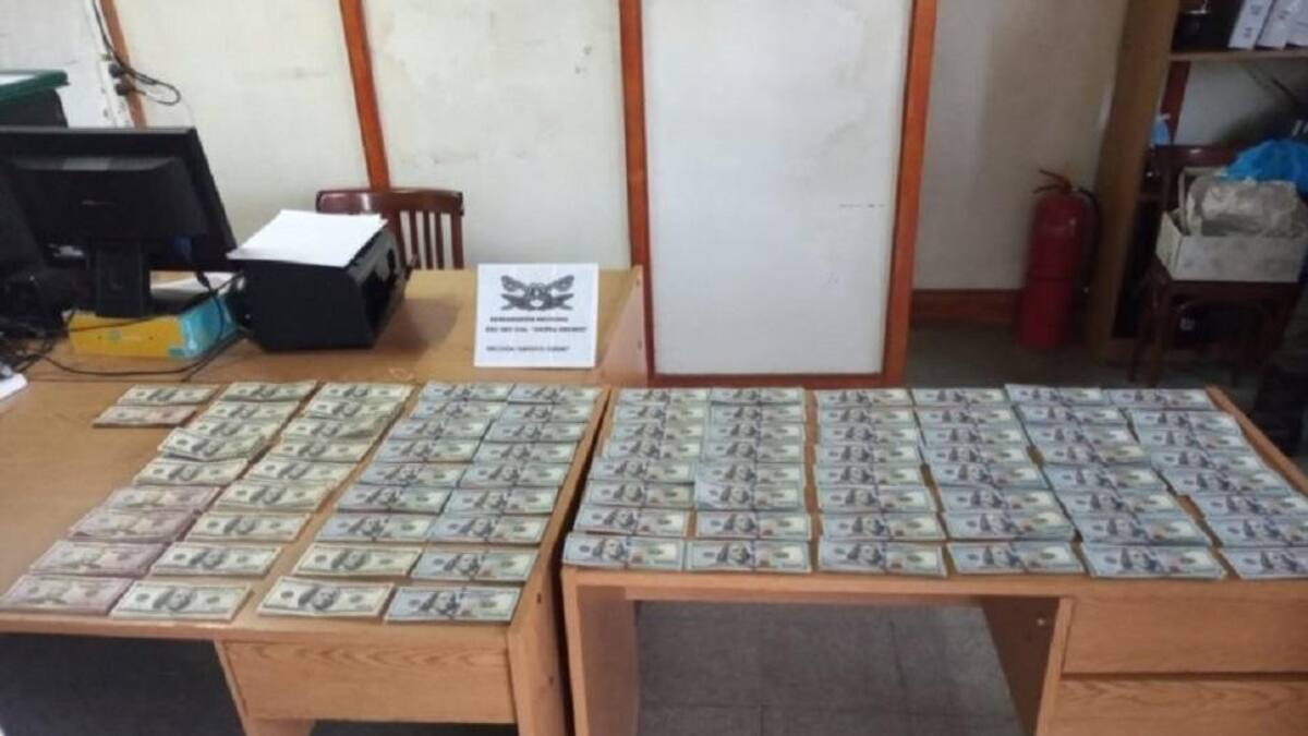 Dólares secuestrados por Gendarmería, NA