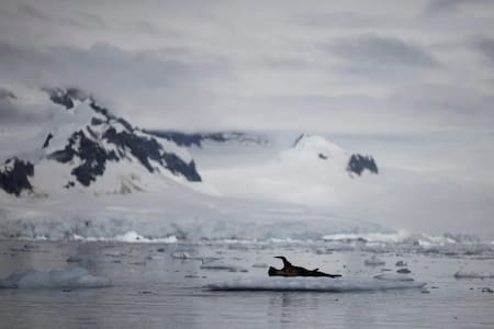 Reducción histórica del hielo marino de la Antártida