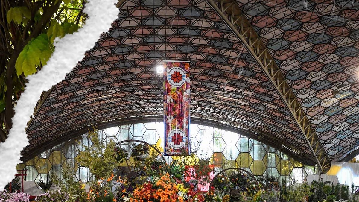 Escobar florece otra vez: cuándo es la nueva edición de la Fiesta Nacional de la Flor