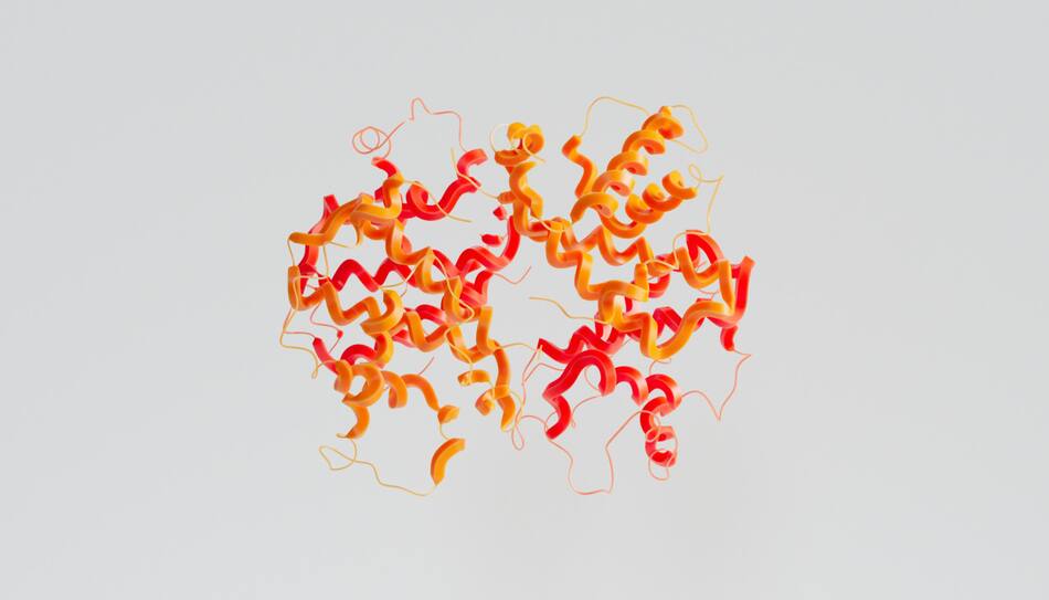 Proteínas. Foto: Unsplash