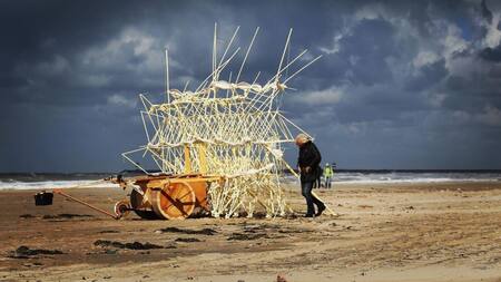"Strandbeests", los animales de playas creados por Theo Jansen. Foto: Instagram @theojansen_official.