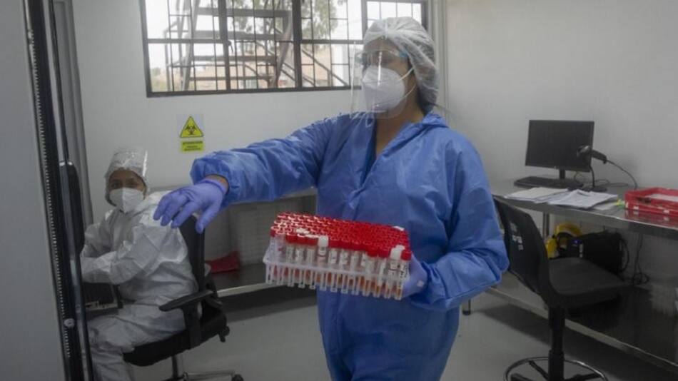 La OMS expresó su preocupación por el aumento de casos de viruela del mono en Brasil
