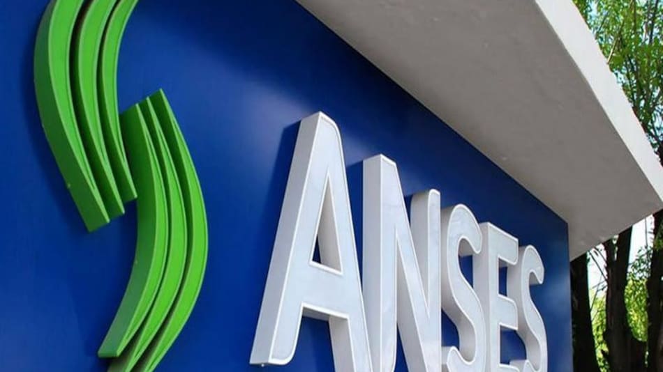 ANSES, economía argentina, IFE