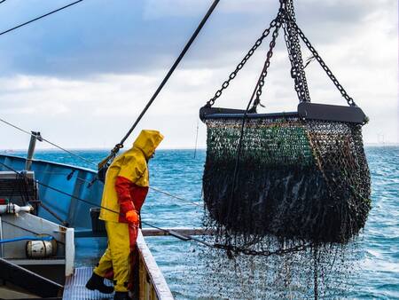 Pesca argentina. Fuente: Noticias Ambientales